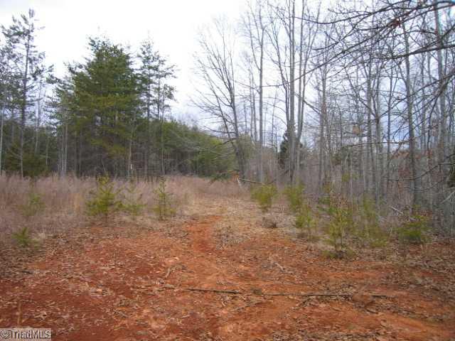 1108 Jesse Knight Road Sandy Ridge, NC 27046 - Photo 14 of 16 Other.