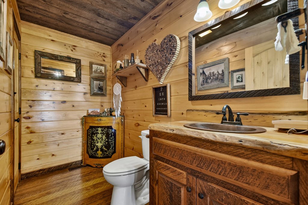 459 Quail Ridge Road Epworth, GA 30541 - Photo 51 of 73 a bathroom with a toilet a sink and mirror