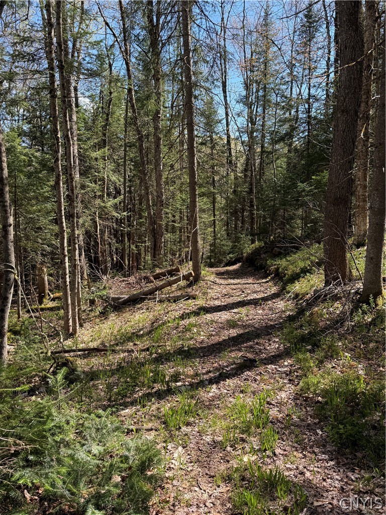 Lot # Meekerville Road Forestport, NY 13338 - Photo 23 of 45