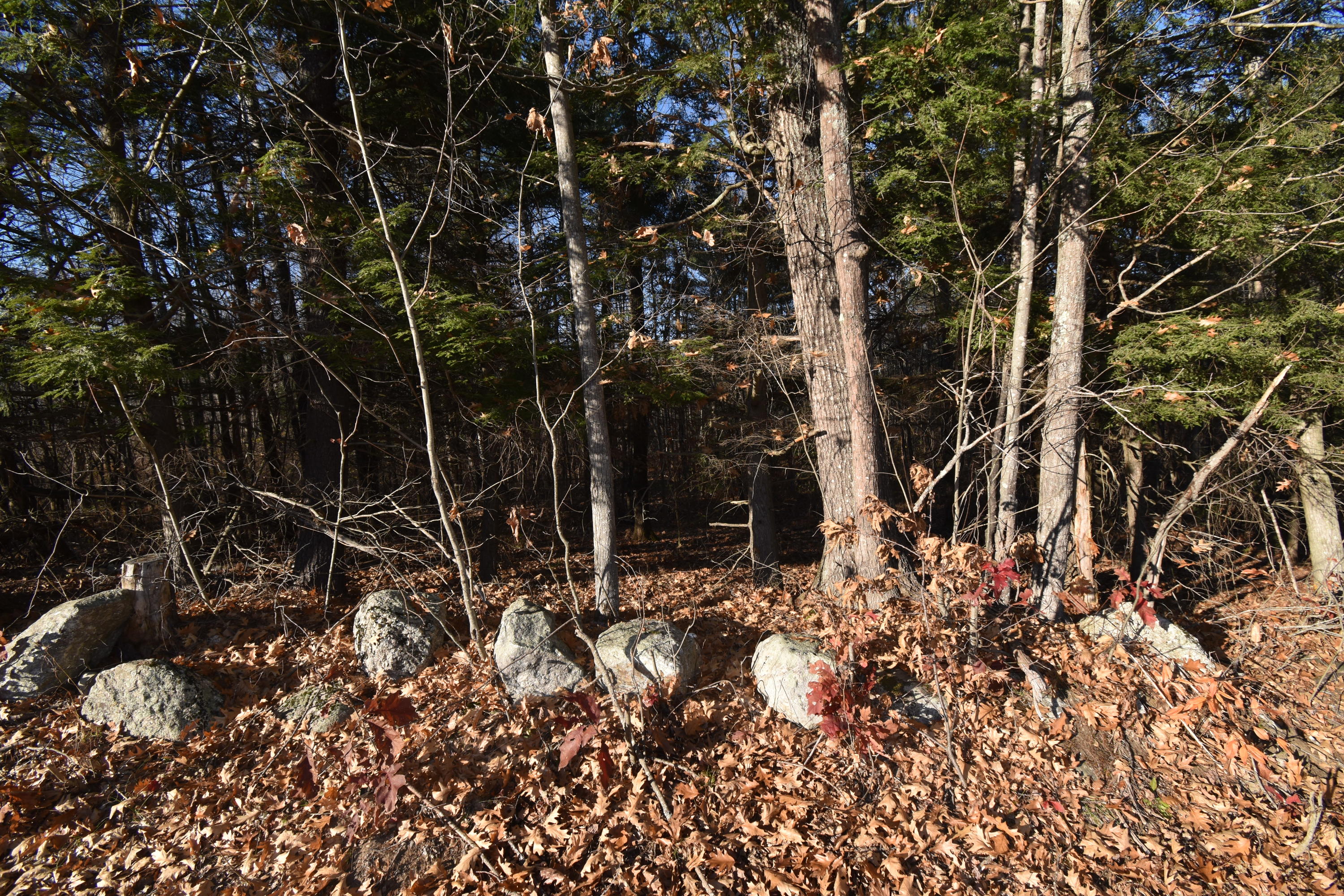 0 Lunts Hill Road Litchfield, ME 04350 - Photo 41 of 80 DSC_0873