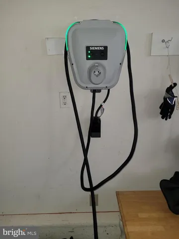 a view of a dry yard with trees