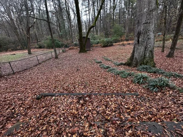 a backyard of a house with lots of green space