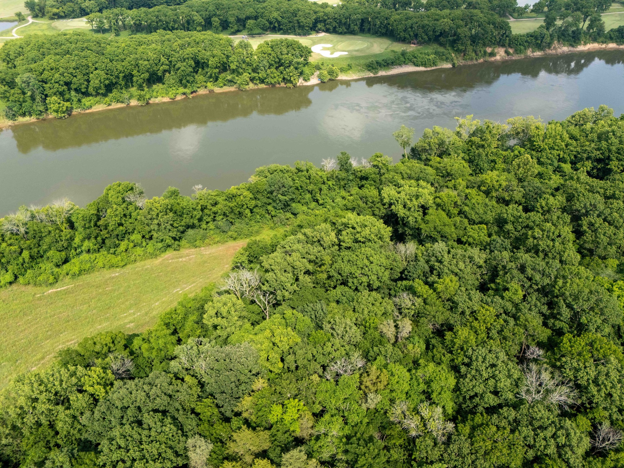 355 Preserve Manor Madison, TN 37115 - Photo 11 of 15