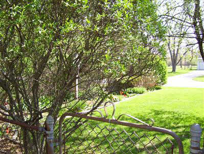 2092 Reckeweg Road Fort Wayne, IN 46804 - Photo 17 of 18