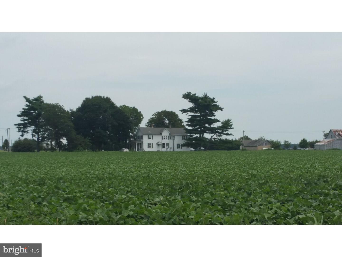 2318 Midstate Road Felton, DE 19943 - Photo 3 of 11 Gallery Image 3
