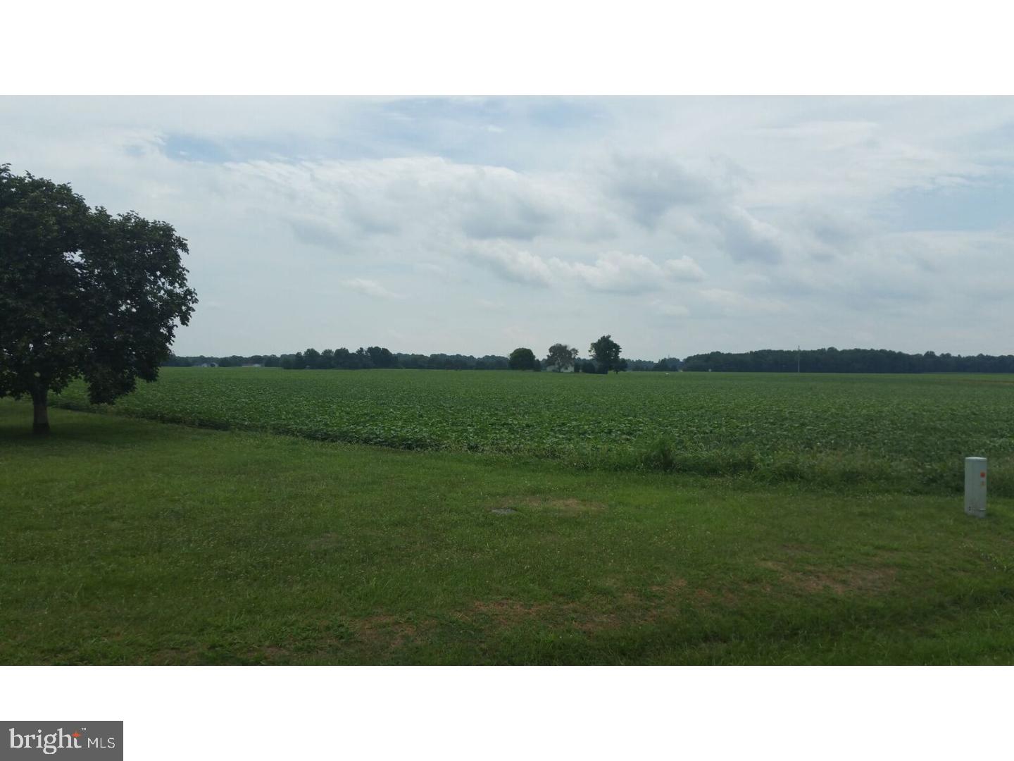 2318 Midstate Road Felton, DE 19943 - Photo 10 of 11 Gallery Image 10