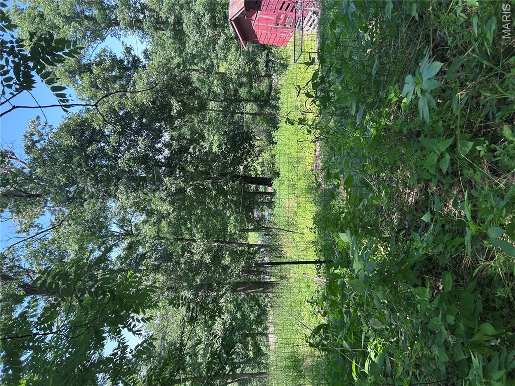 183 Graham Road Steelville, MO 65565 - Photo 74 of 82
