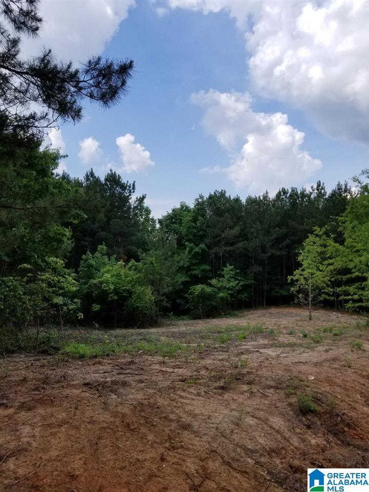 4 Charles Taylor Road, Unit 4 Vance, AL 35490 - Photo 2 of 6