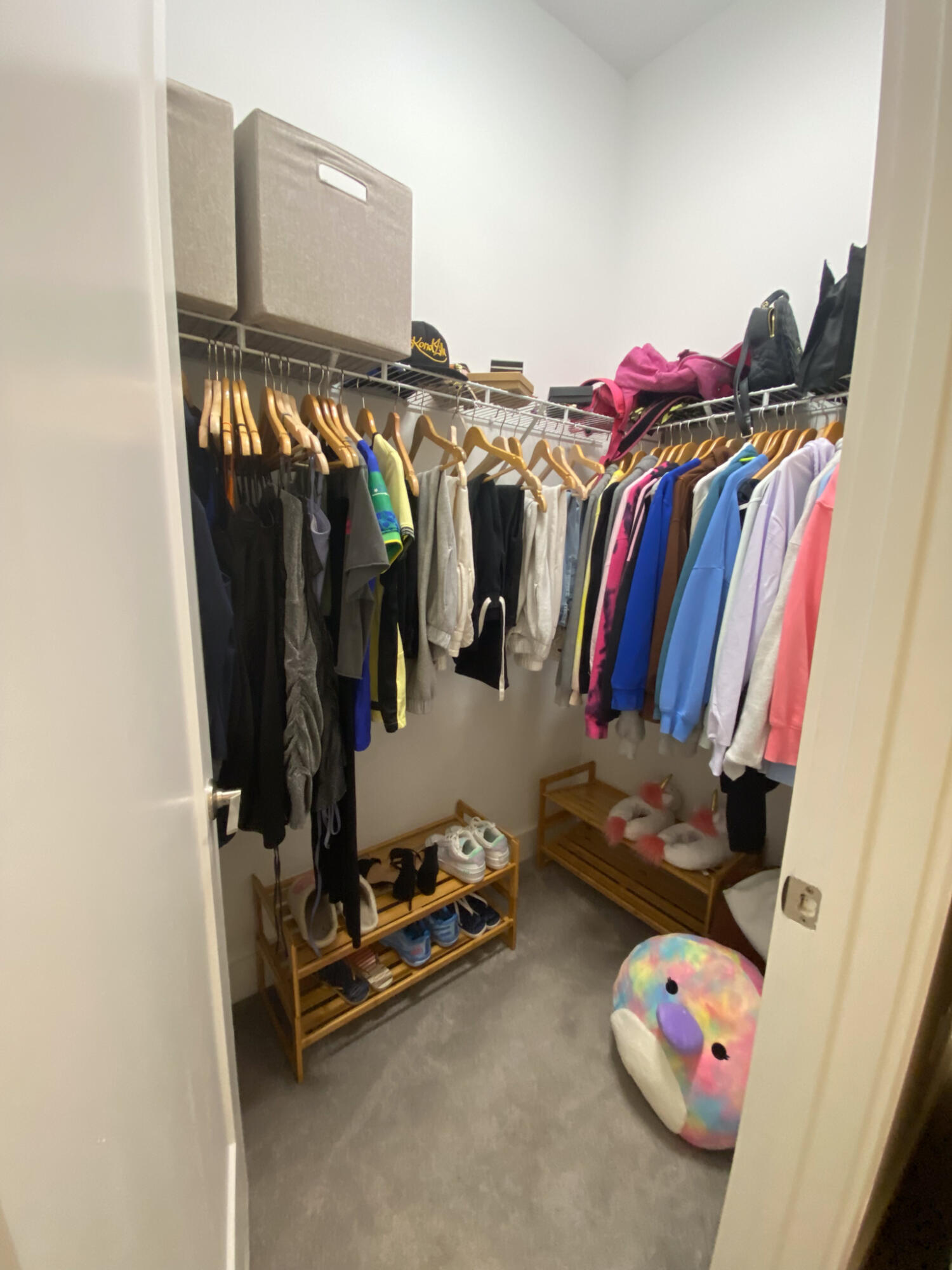 17296 Sea Blossom Way Boca Raton, FL 33496 - Photo 32 of 50 3rd bed. closet