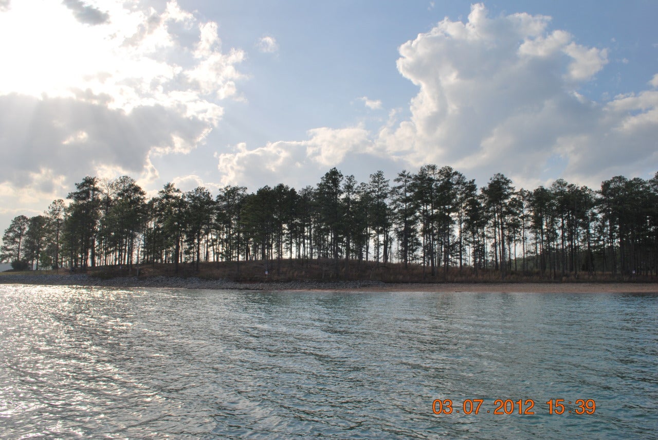 Lot 1 Goree Road Alexander City, AL 35010 - Photo 1 of 1 Gallery Image 1