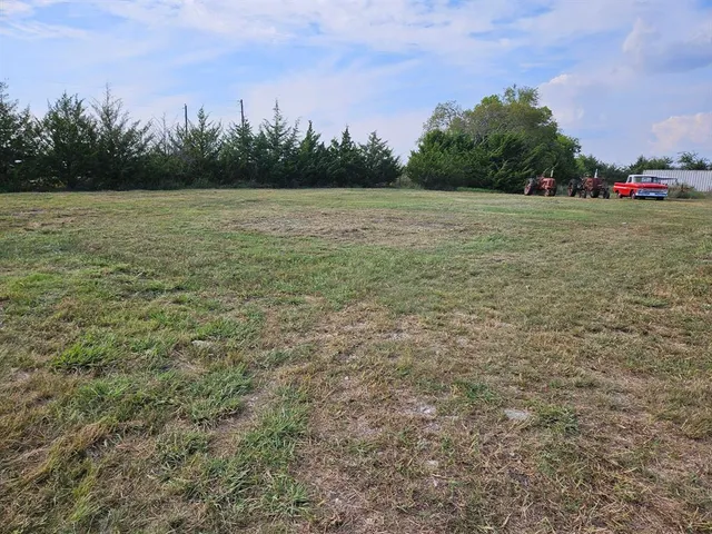 a view of a yard with a tree