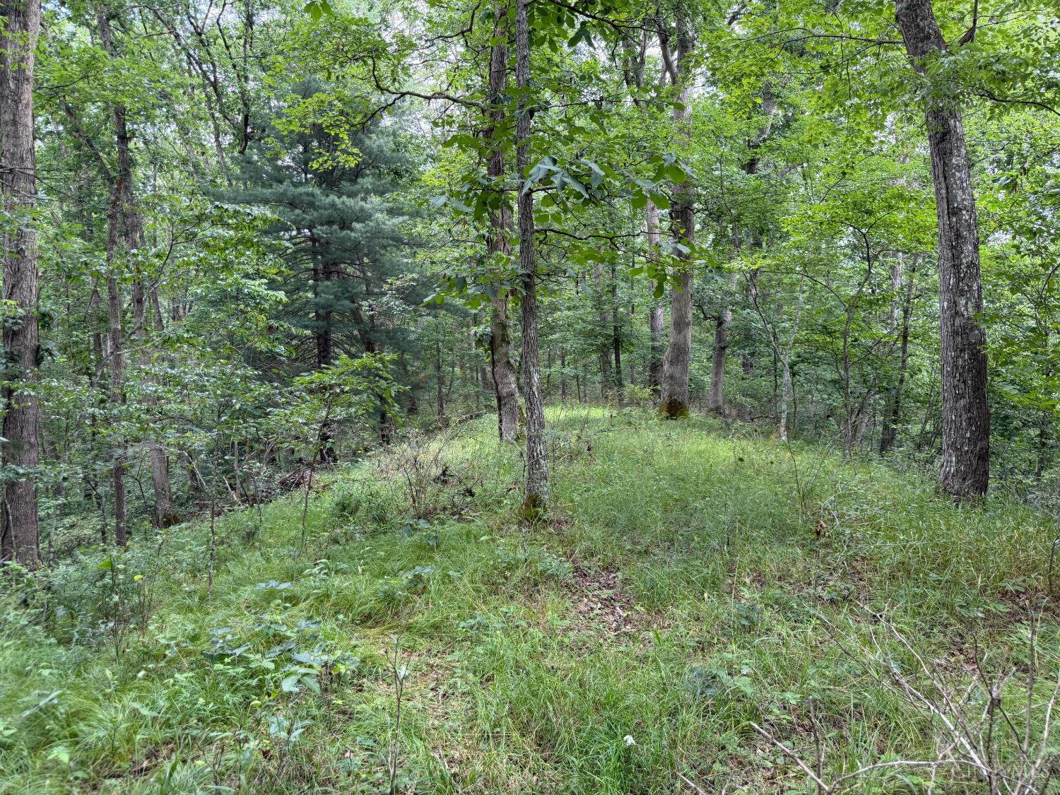 1323 Beaver Pond Road Peebles, OH 45660 - Photo 11 of 13