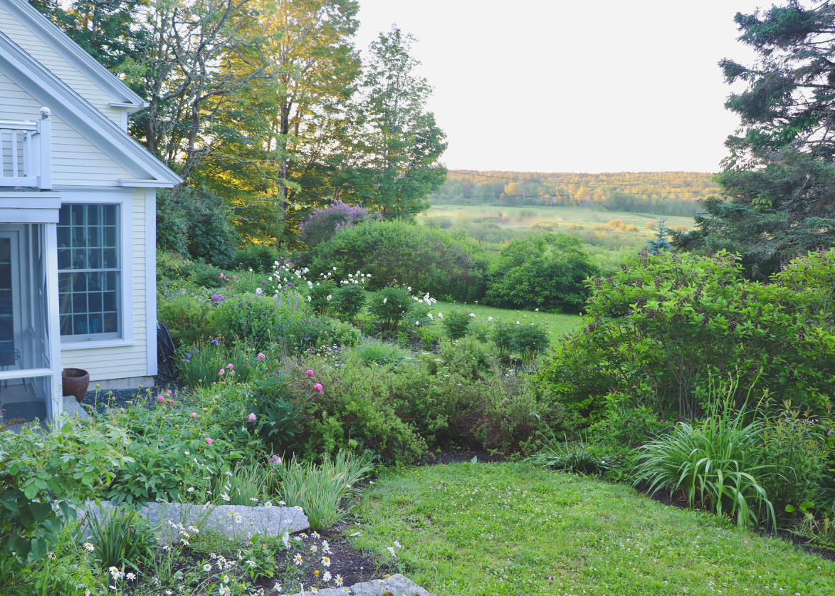 325 North Sedgwick Road Sedgwick, ME 04676 - Photo 36 of 61 Long view from garden