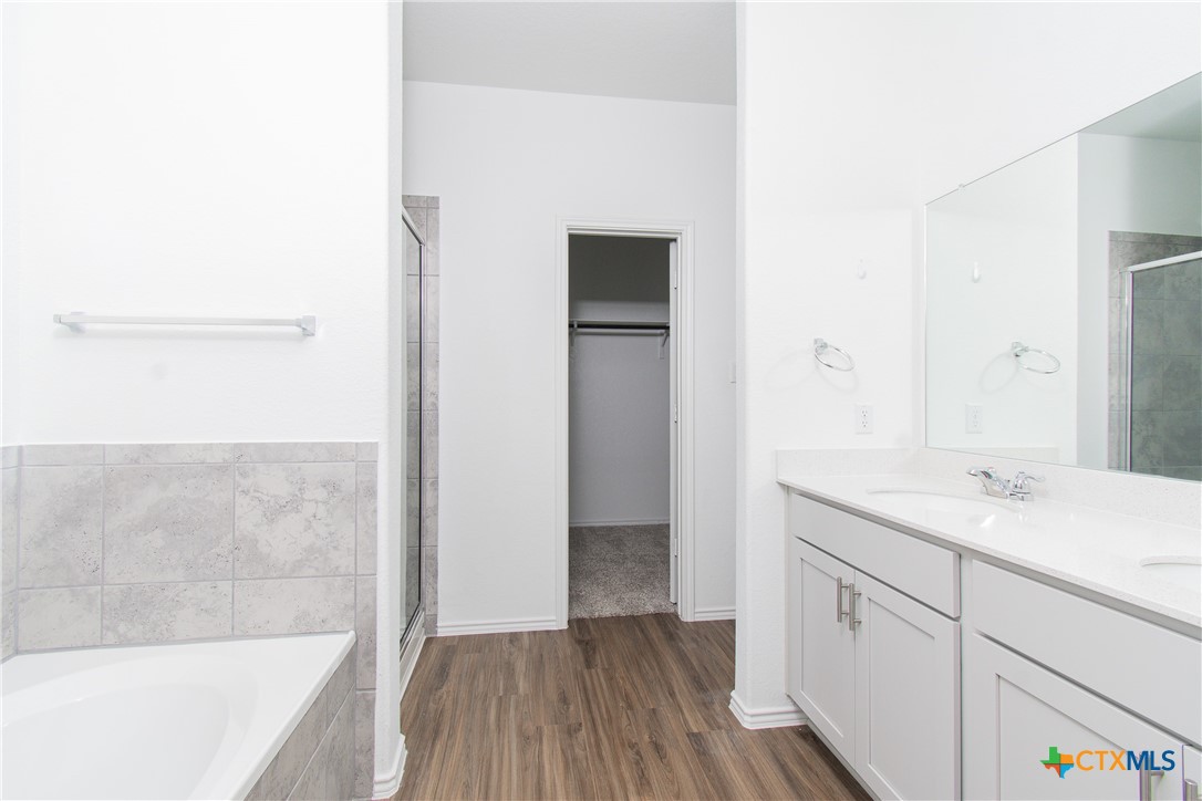 9101 Daisy Cutter Crossing Georgetown, TX 78626 - Photo 12 of 28 a bathroom with a sink and a bathtub