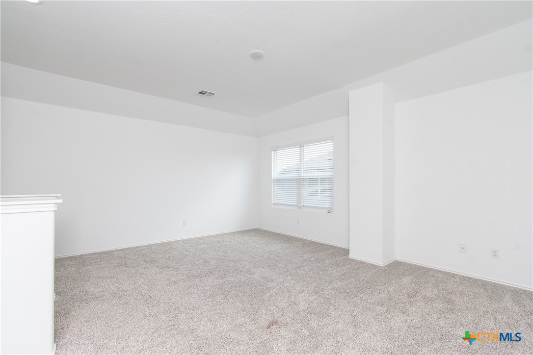 9101 Daisy Cutter Crossing Georgetown, TX 78626 - Photo 23 of 28 an empty room with windows