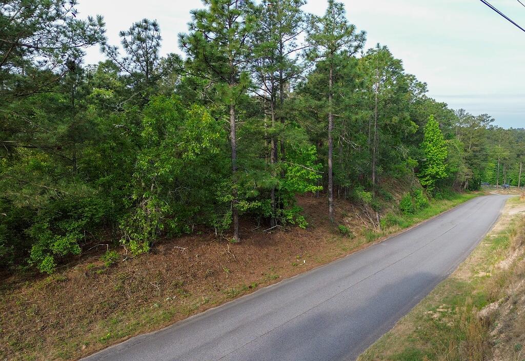 0 Mt Zion Road, Unit 5 Trenton, SC 29847 - Photo 23 of 26