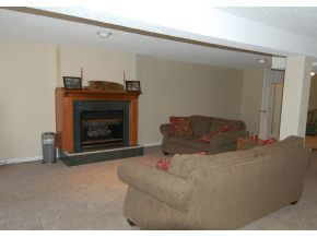 352 Silver Grove Road Bluff City, TN 37618 - Photo 13 of 14 Lower lvl gt room fireplace