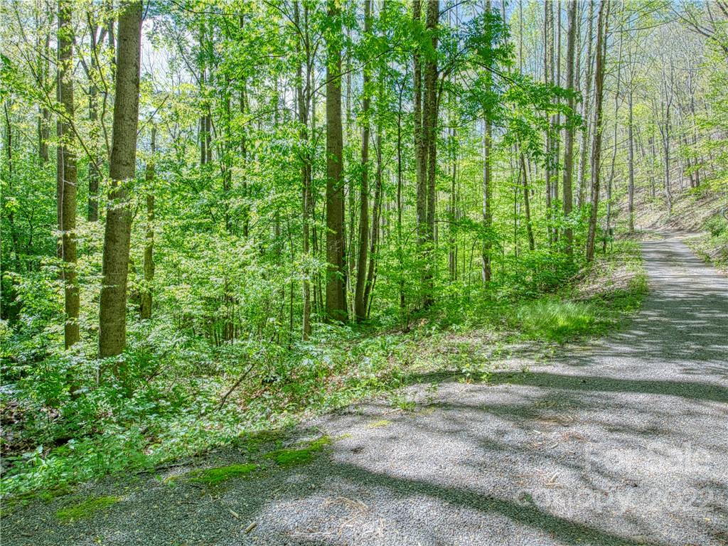 0 Rustic Road, Unit 2027 Waynesville, NC 28786 - Photo 14 of 15 a view of outdoor space and a yard