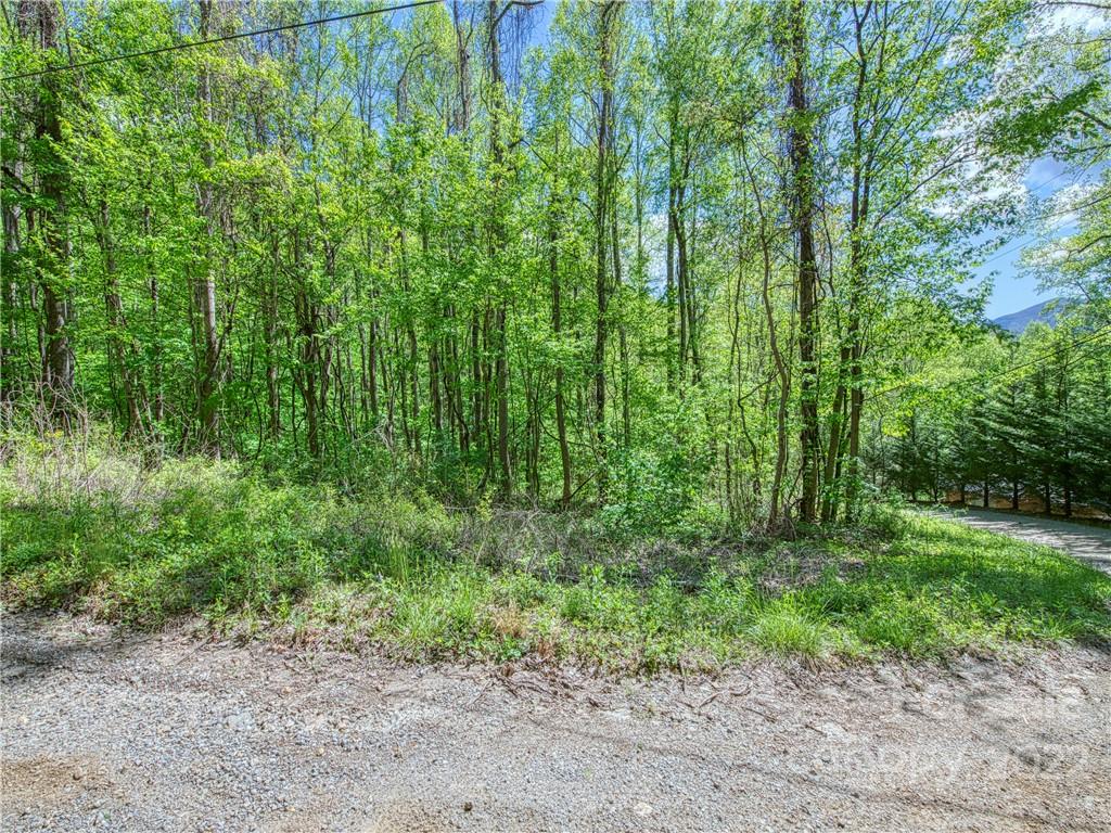 0 Rustic Road, Unit 2027 Waynesville, NC 28786 - Photo 3 of 15 a view of a garden