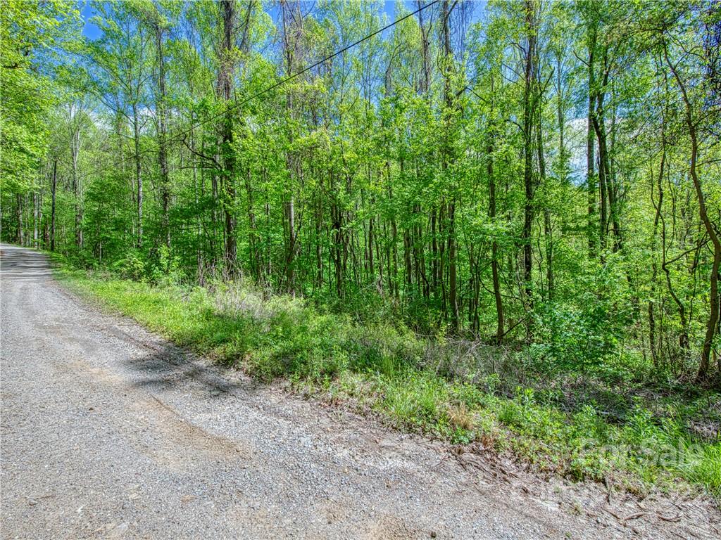 0 Rustic Road, Unit 2027 Waynesville, NC 28786 - Photo 4 of 15 a big yard with lots of green space