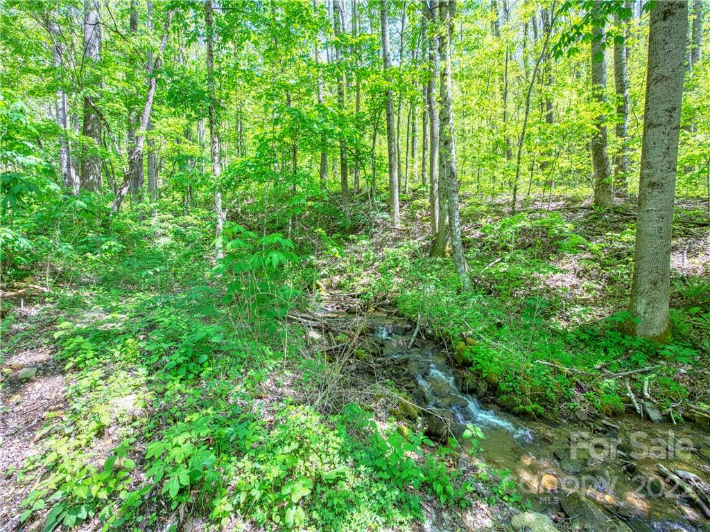 0 Rustic Road, Unit 2027 Waynesville, NC 28786 - Photo 5 of 15 a view of yard with lush green forest
