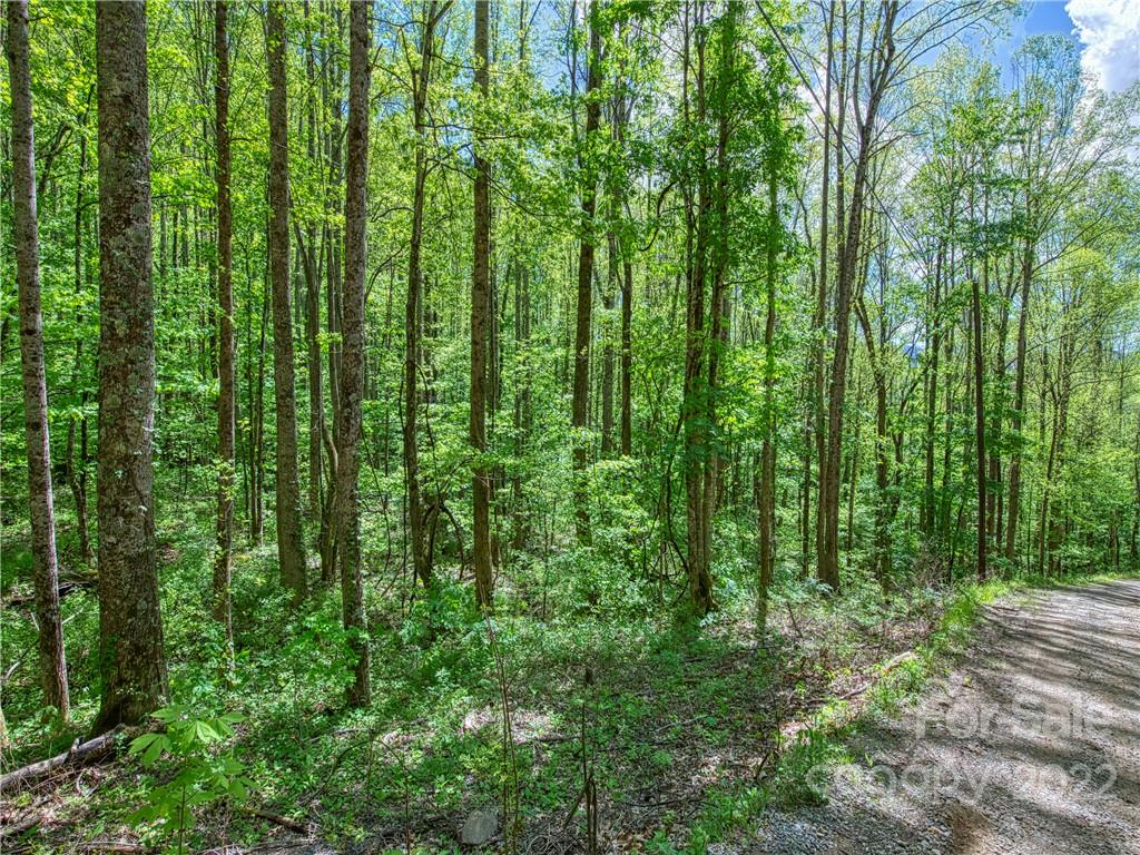 0 Rustic Road, Unit 2027 Waynesville, NC 28786 - Photo 8 of 15