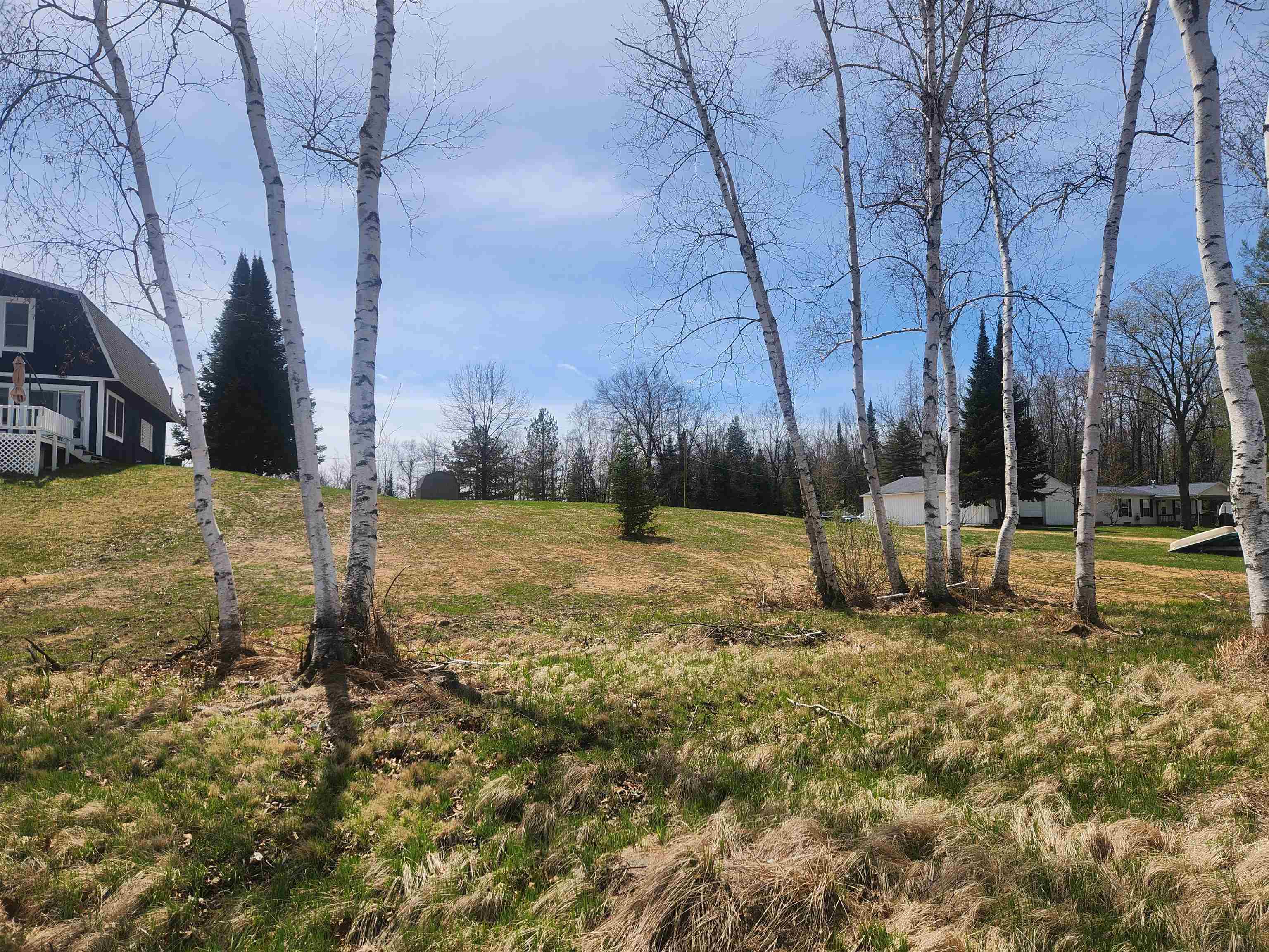 Tbd Ridgeway Trail Lake, MI 48632 - Photo 6 of 23