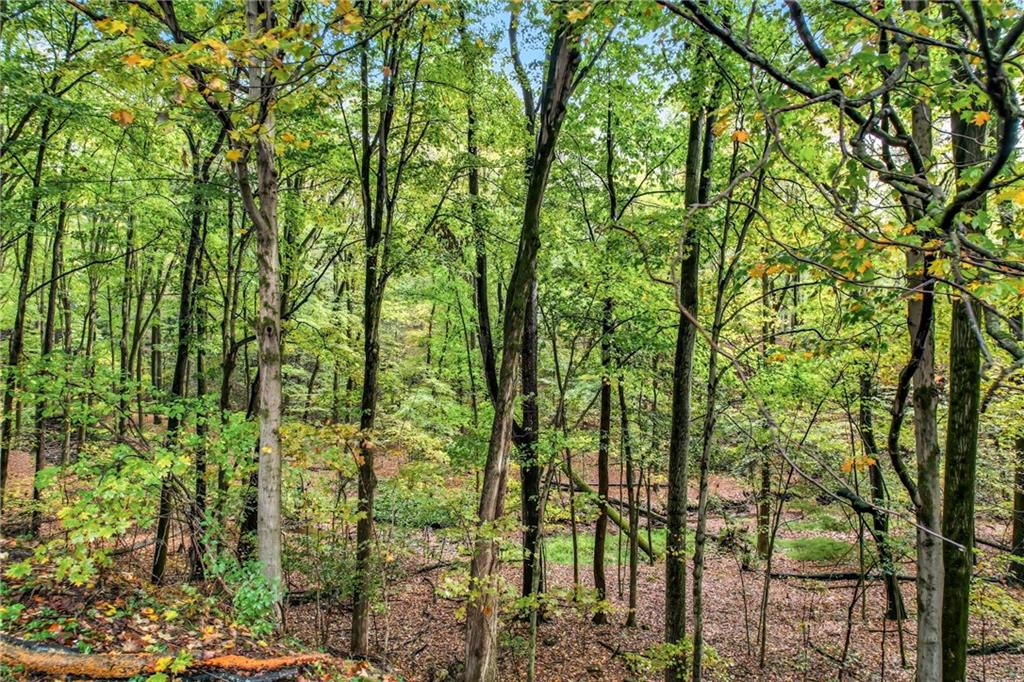 63 Fredonia Road Greenville, PA 16125 - Photo 7 of 32