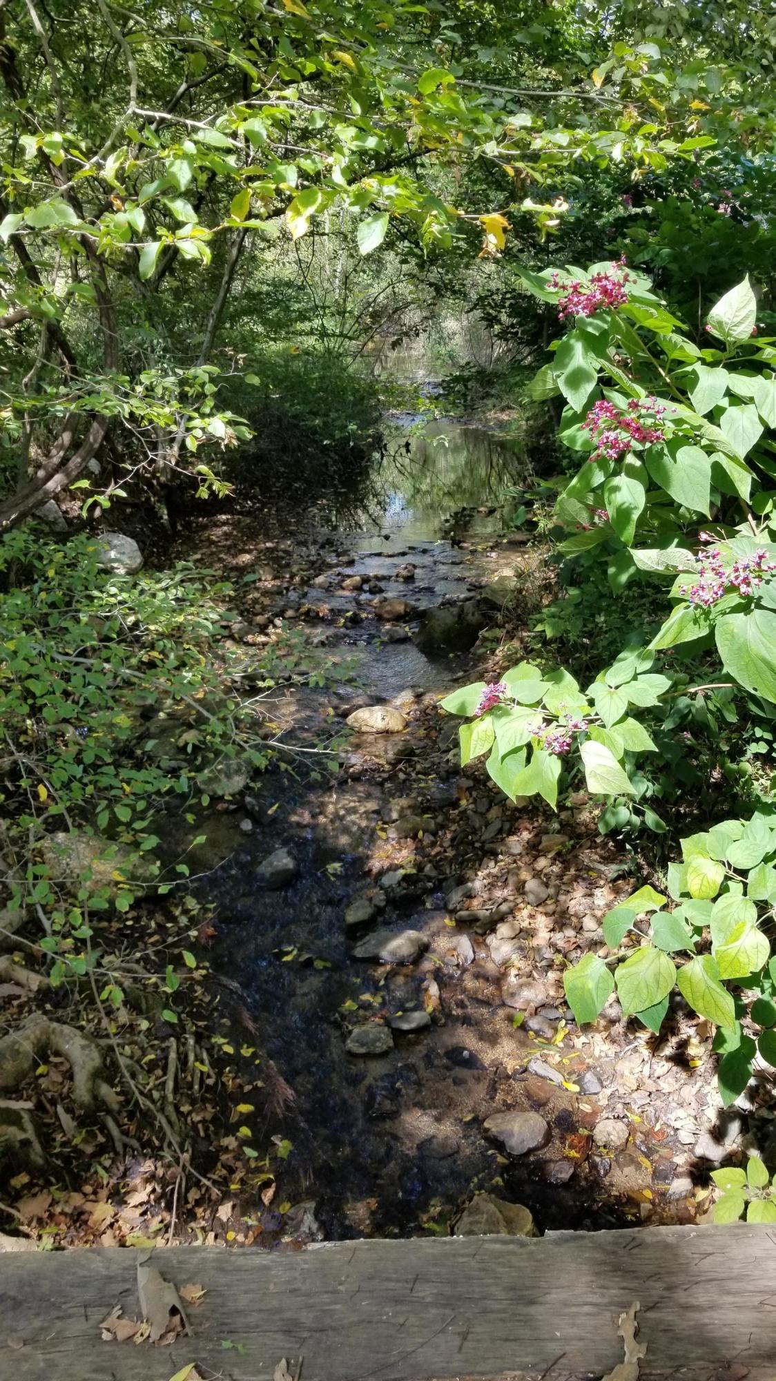 262 Tharp Creek Road Ferrum, VA 24088 - Photo 31 of 54 30 Stream