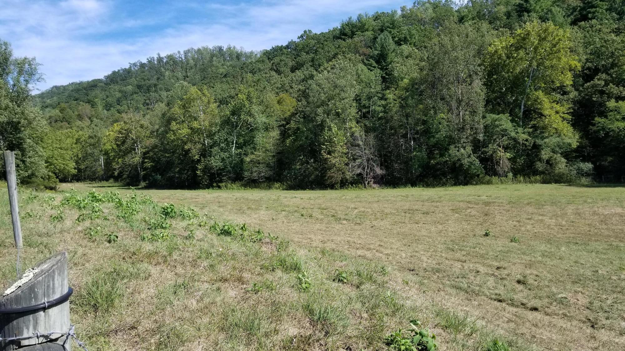 262 Tharp Creek Road Ferrum, VA 24088 - Photo 35 of 54 34 Pastures