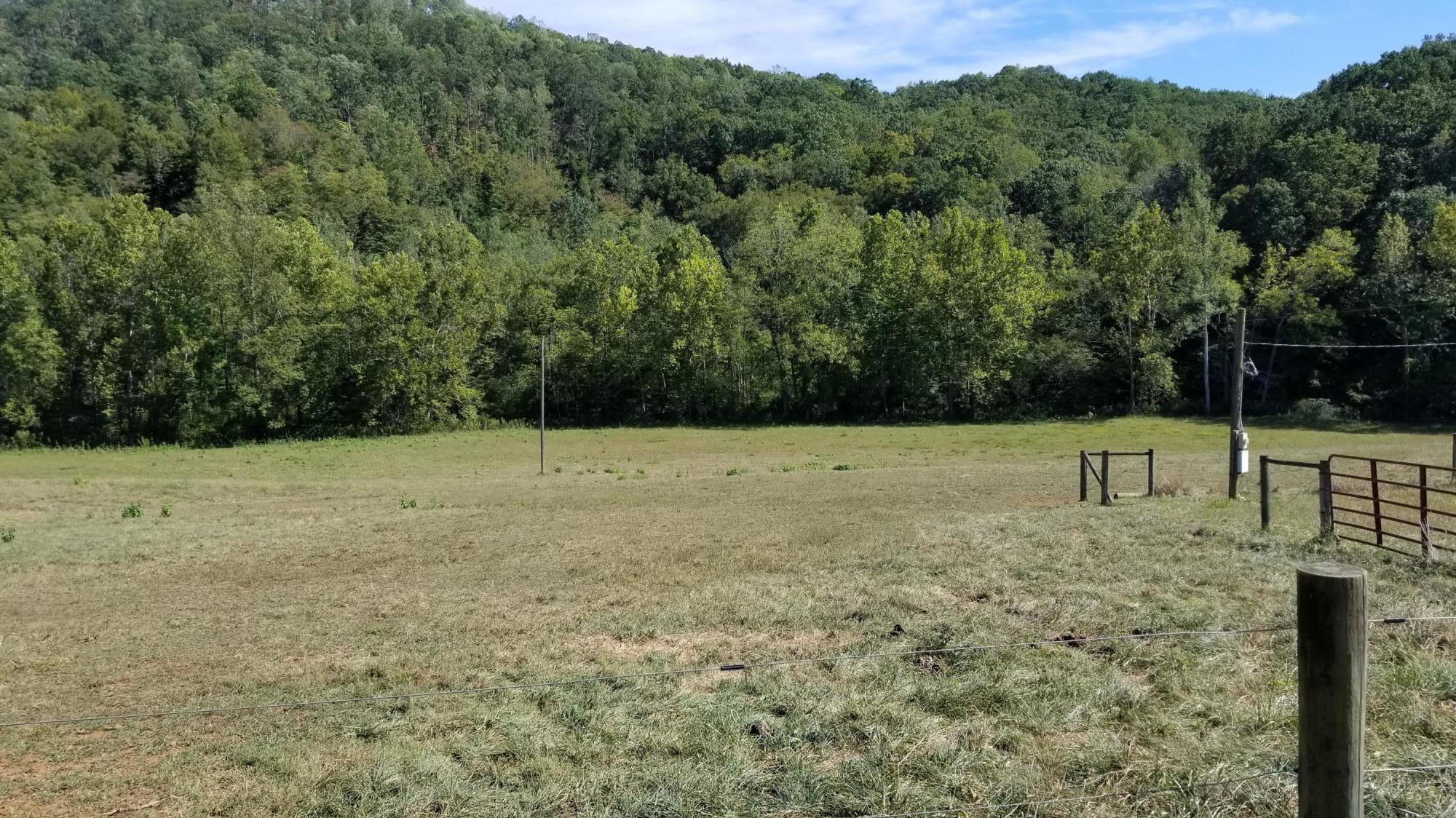 262 Tharp Creek Road Ferrum, VA 24088 - Photo 37 of 54 36 Pastures