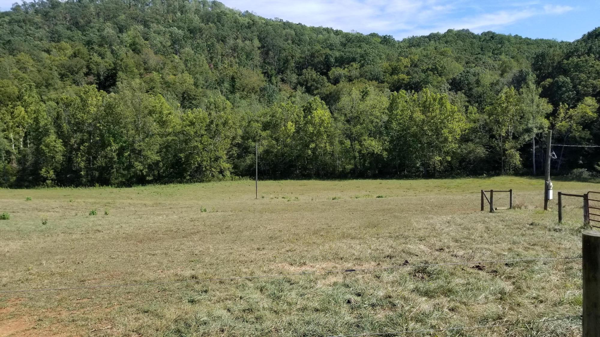 262 Tharp Creek Road Ferrum, VA 24088 - Photo 38 of 54 37 Pastures