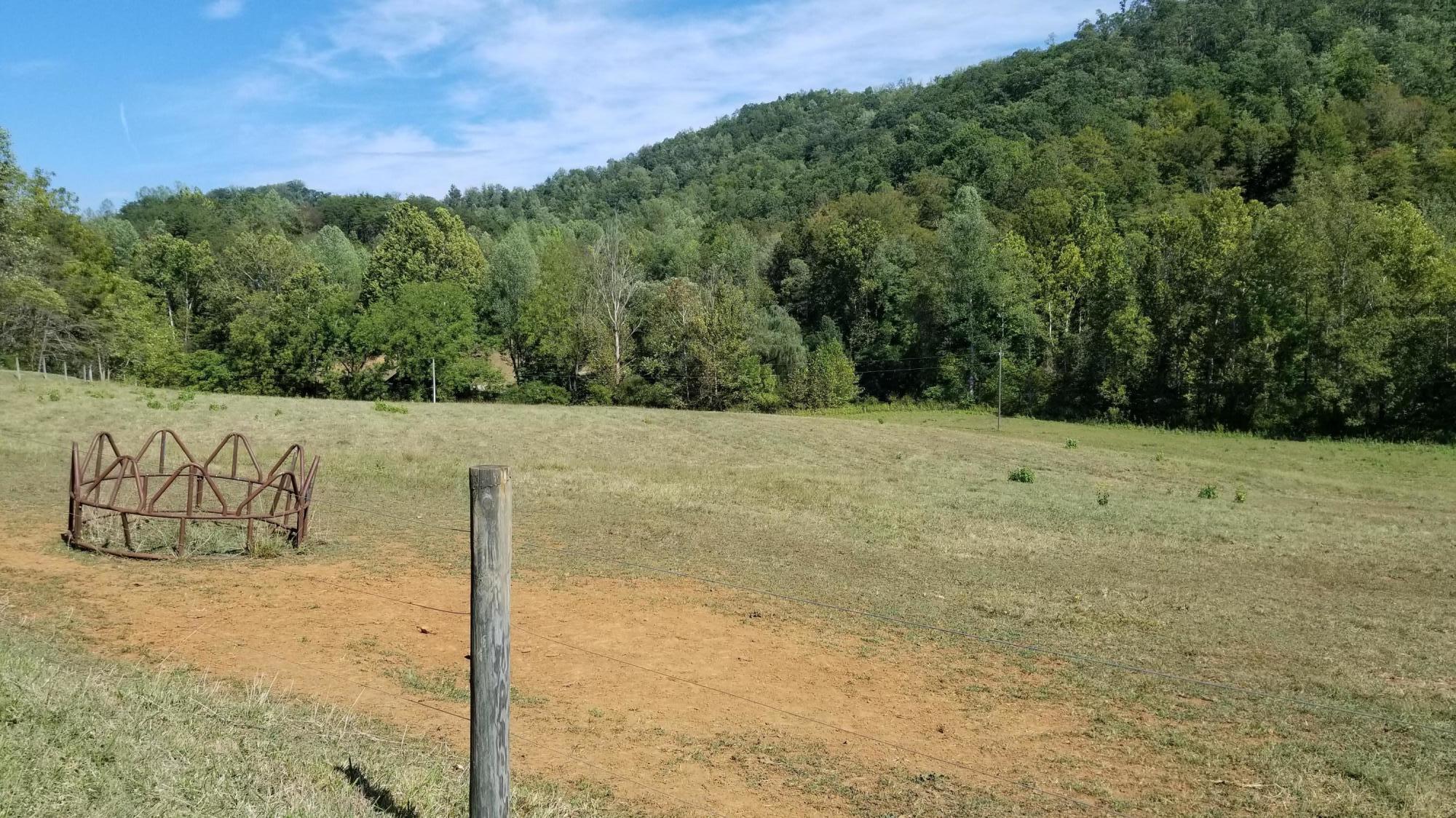 262 Tharp Creek Road Ferrum, VA 24088 - Photo 39 of 54 38 Pastures