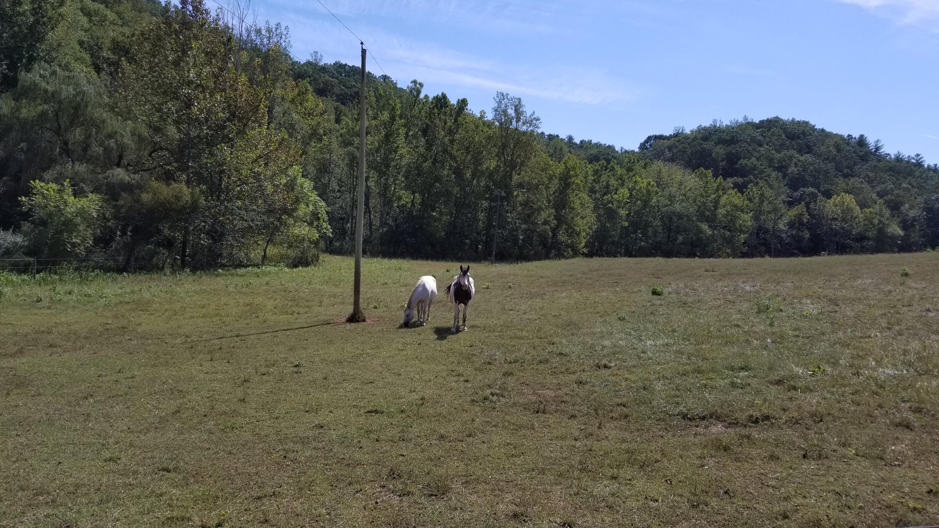 262 Tharp Creek Road Ferrum, VA 24088 - Photo 41 of 54 40 Pastures