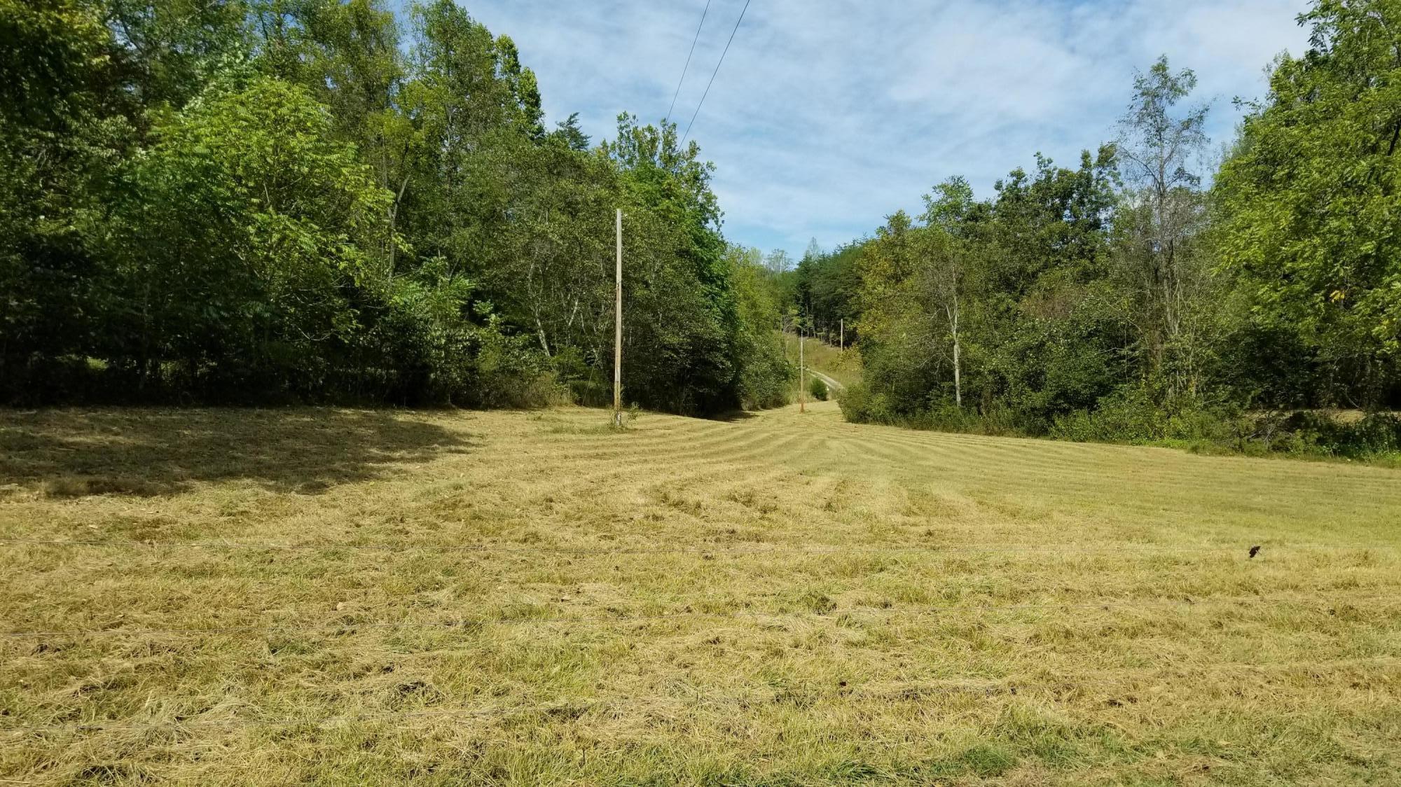 262 Tharp Creek Road Ferrum, VA 24088 - Photo 45 of 54 44 Property