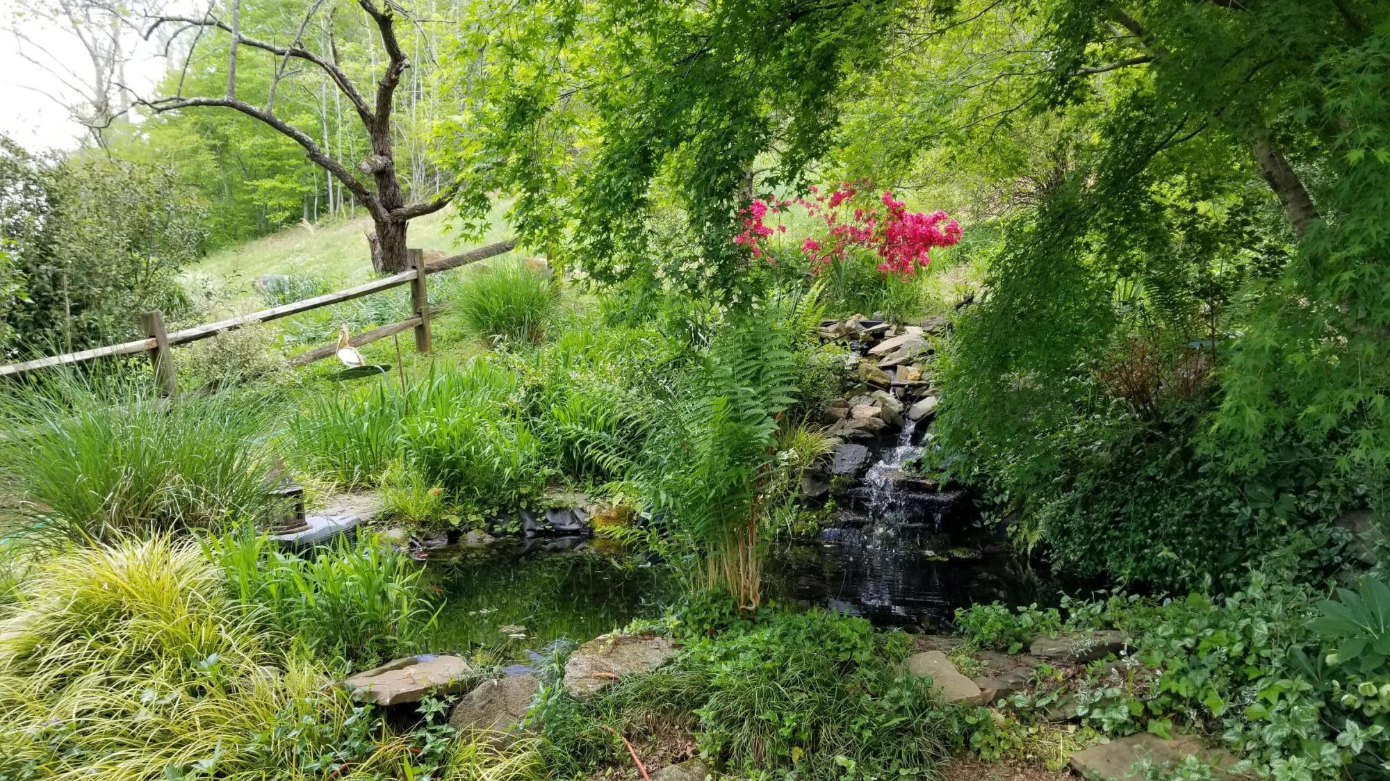 262 Tharp Creek Road Ferrum, VA 24088 - Photo 47 of 54 46 Lanscaping
