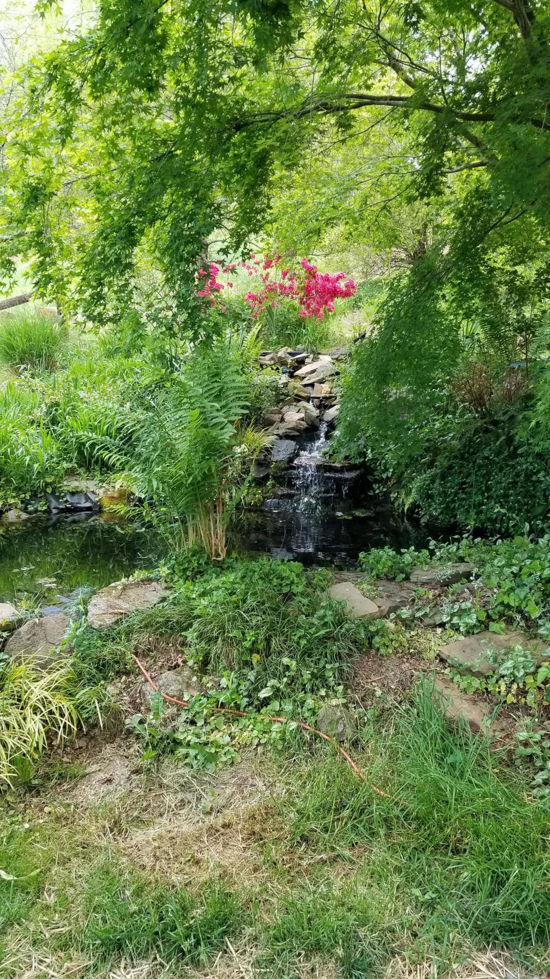262 Tharp Creek Road Ferrum, VA 24088 - Photo 48 of 54 47 Lanscaping