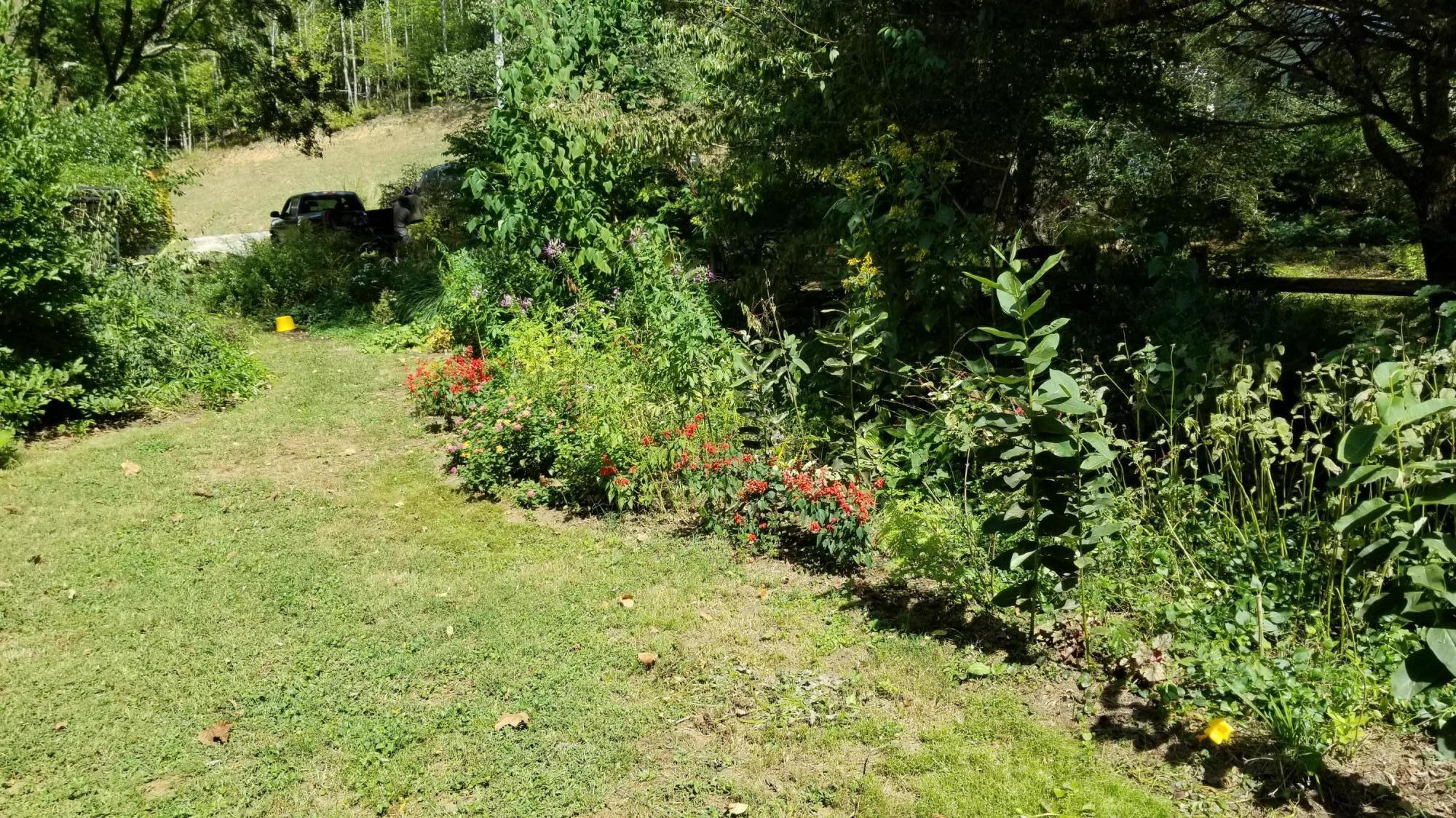 262 Tharp Creek Road Ferrum, VA 24088 - Photo 51 of 54 50 Lanscaping