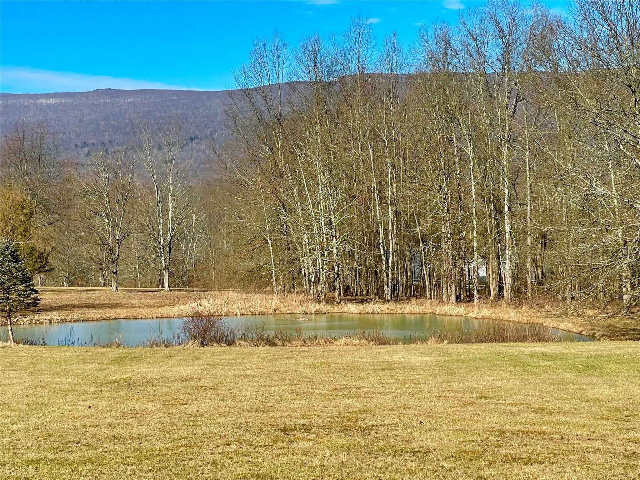 71 Saddleback Ridge Wallkill, NY 12589 - Photo 39 of 39 Mountain view featuring a large body of water and a heavily wooded area