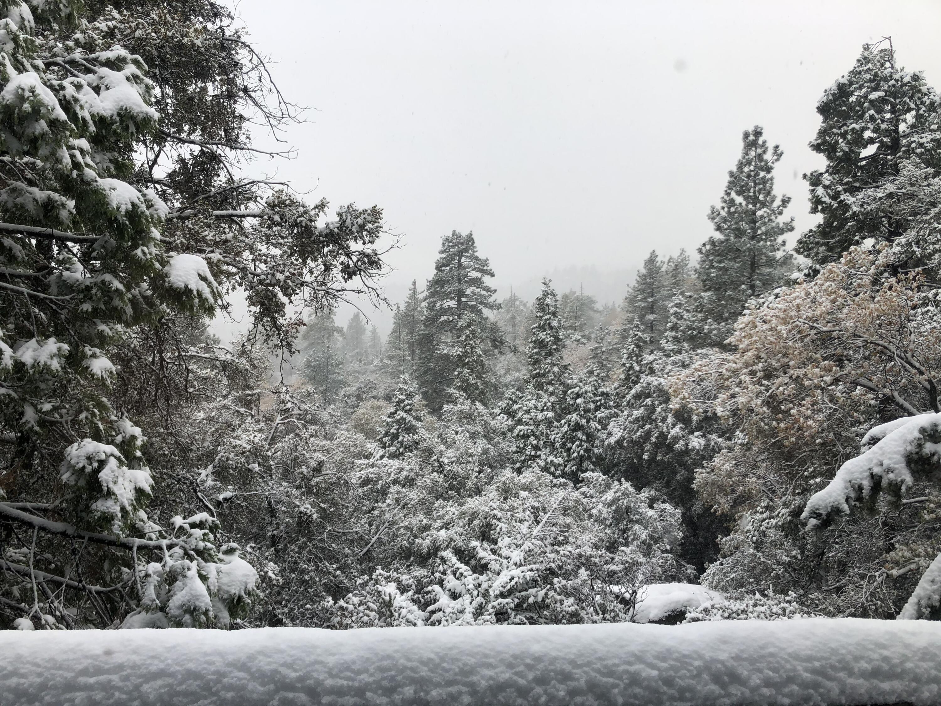 545041 Northridge Road Idyllwild, CA 92549 - Photo 40 of 72 IMG_4759