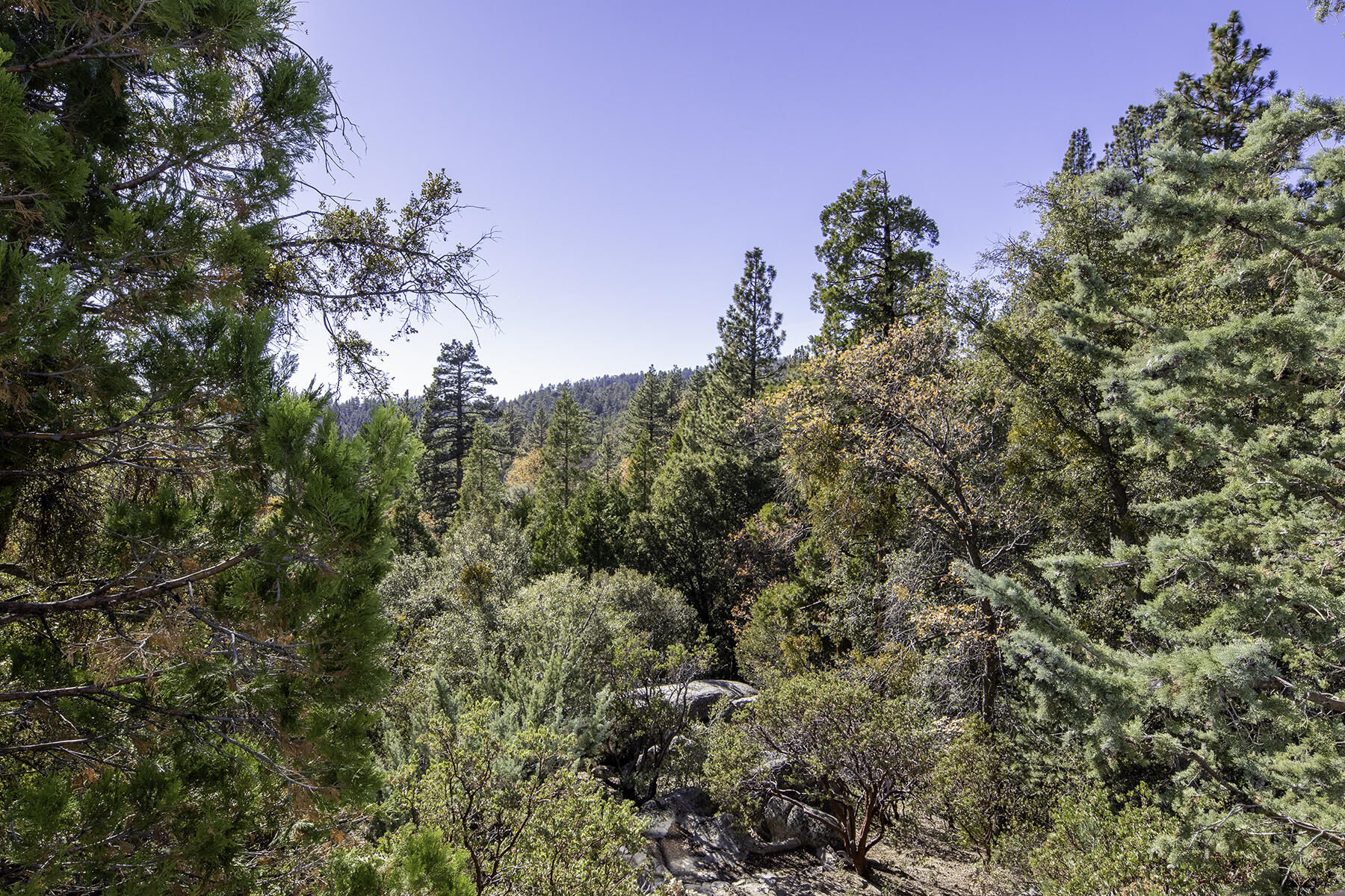 545041 Northridge Road Idyllwild, CA 92549 - Photo 47 of 72 IMG_7918(retouch-resize)