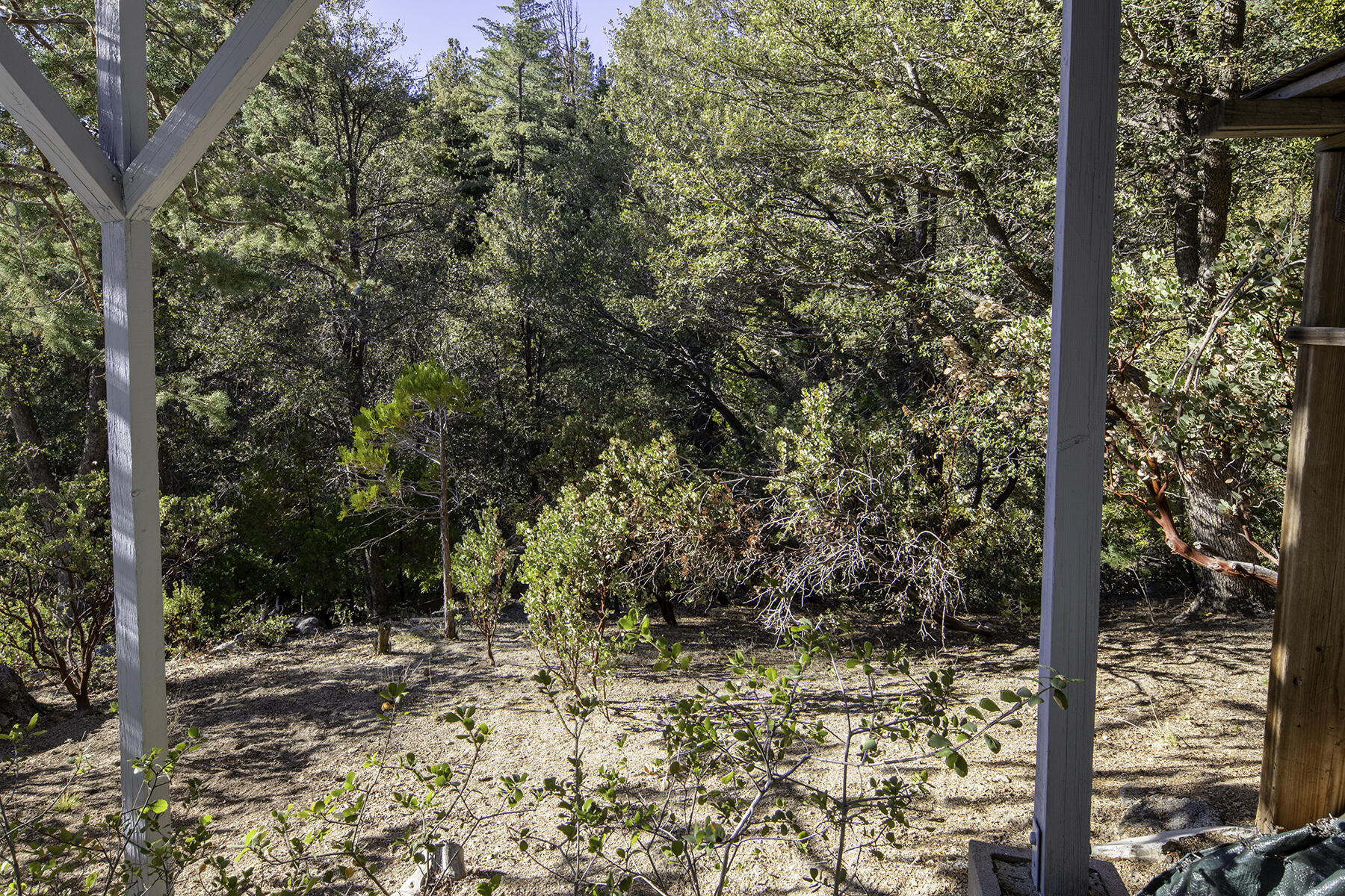 545041 Northridge Road Idyllwild, CA 92549 - Photo 54 of 72 IMG_7992(retouch-resize)