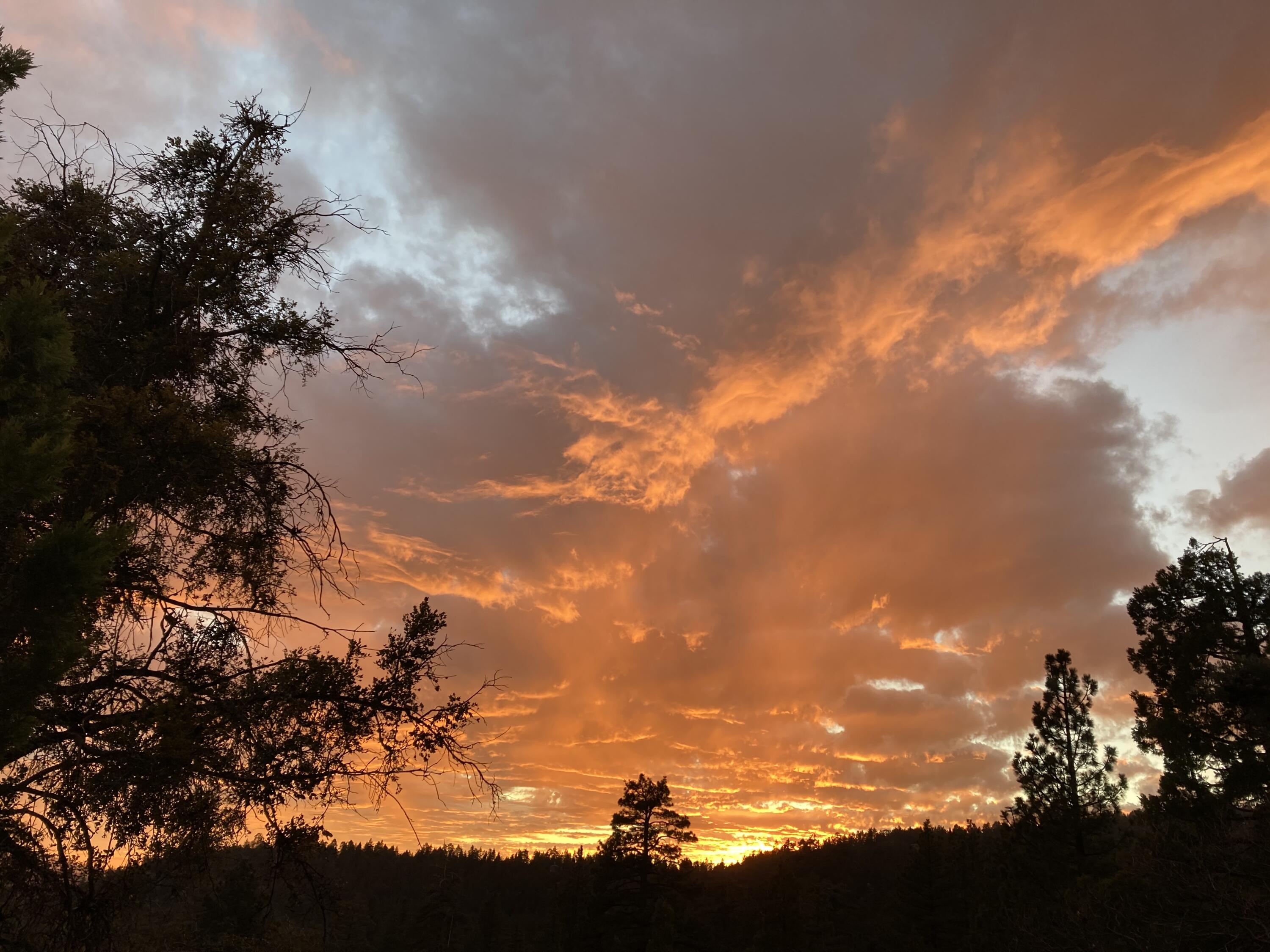 545041 Northridge Road Idyllwild, CA 92549 - Photo 63 of 72 IMG_0180