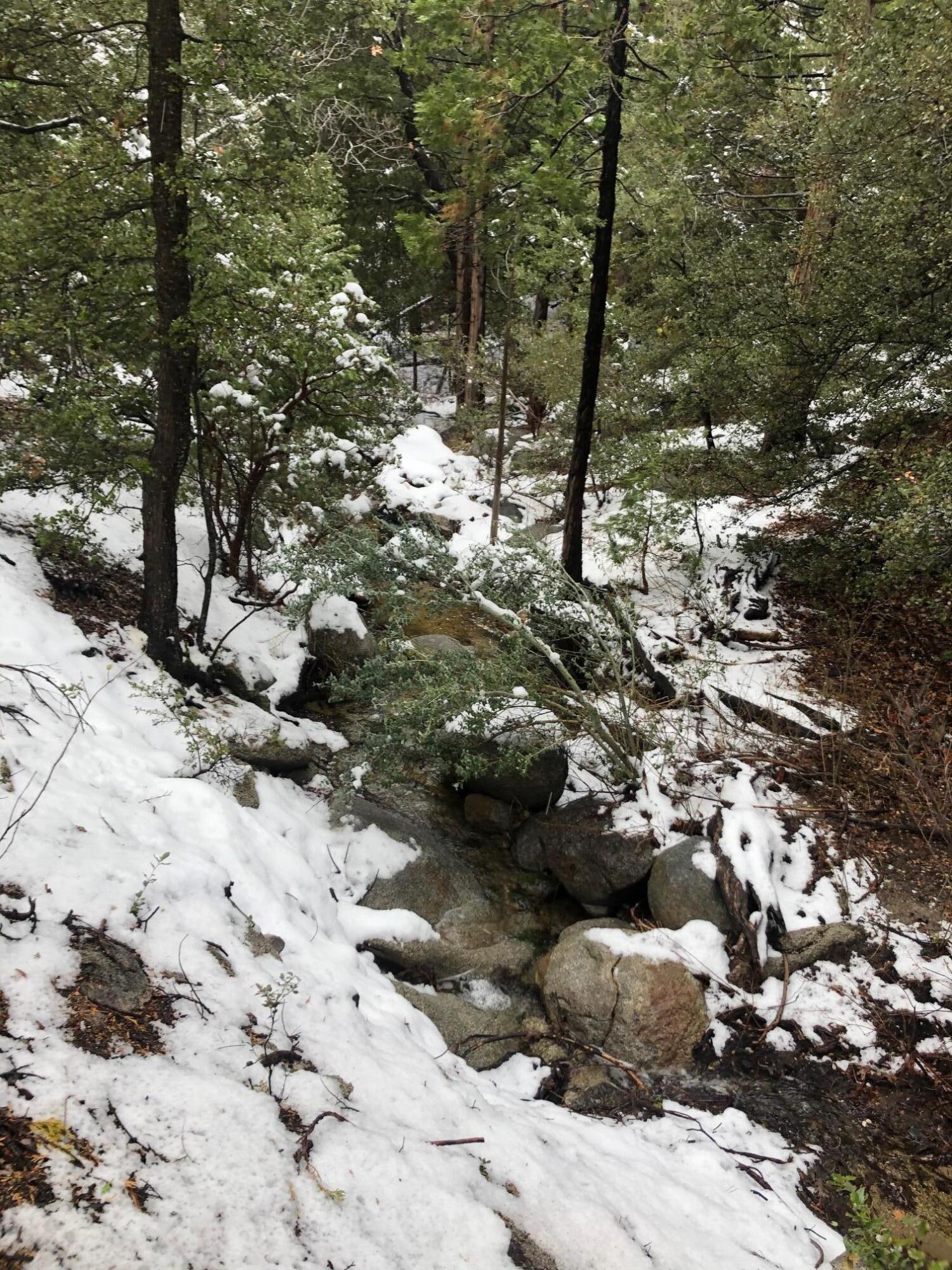545041 Northridge Road Idyllwild, CA 92549 - Photo 65 of 72 IMG_1544
