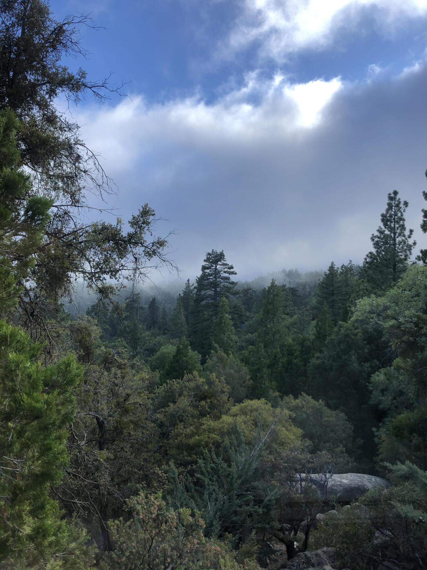 545041 Northridge Road Idyllwild, CA 92549 - Photo 71 of 72 IMG_2157