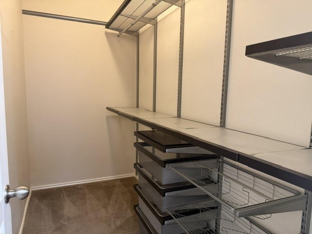 571 Dragon Ridge Road Buda, TX 78610 - Photo 10 of 16 A spacious walk-in closet includes a customizable modular shelving system and soft carpet flooring.