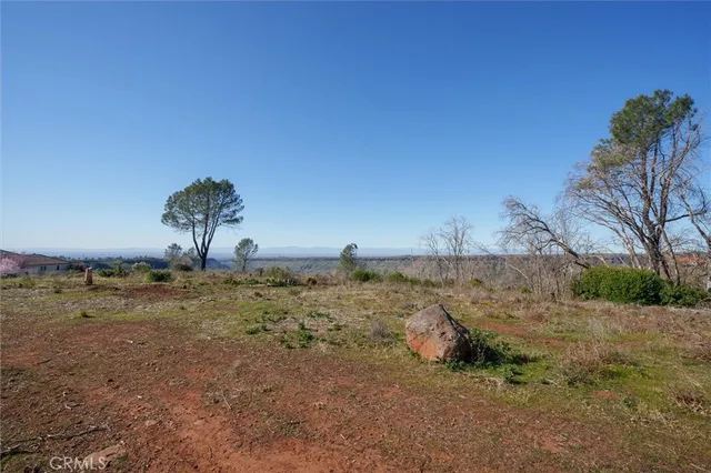 a view of a yard with wooden fence