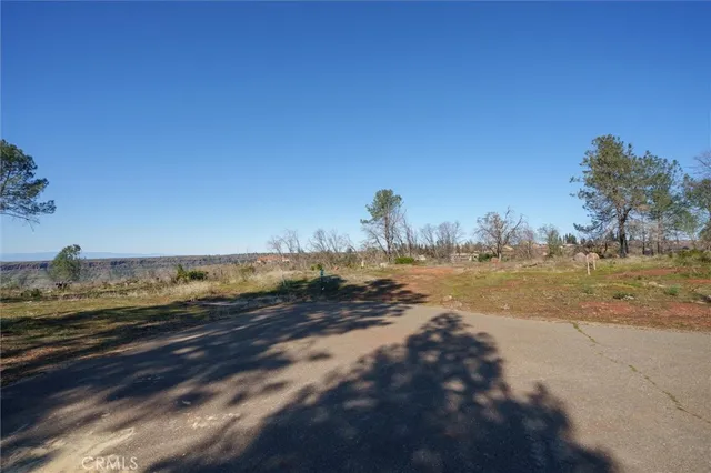 a view of road view with large trees