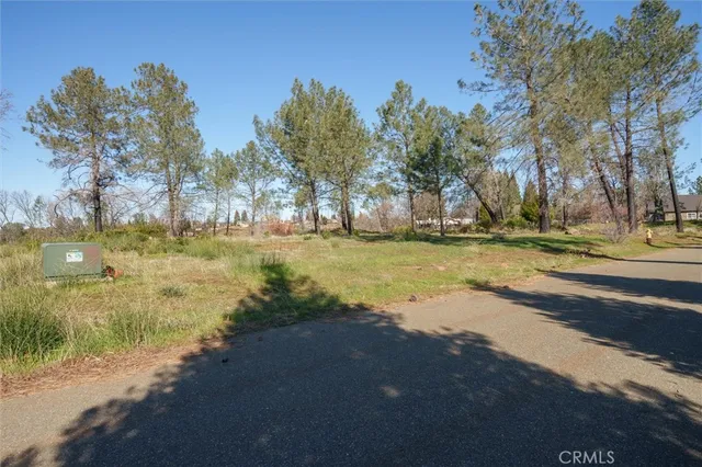 a view of yard with tree