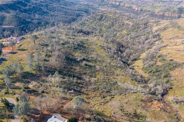 a view of a yard with plants